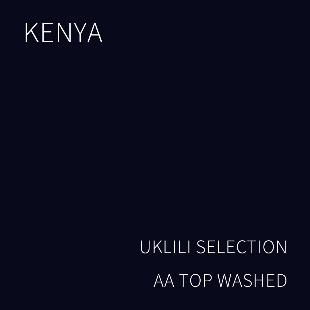 (2025 뉴크롭) 베르데 트레이드 케냐 우클릴리 셀렉션 AA TOP 워시드 1KG (KENYA UKLILI SELECTION AA TOP WASHED)