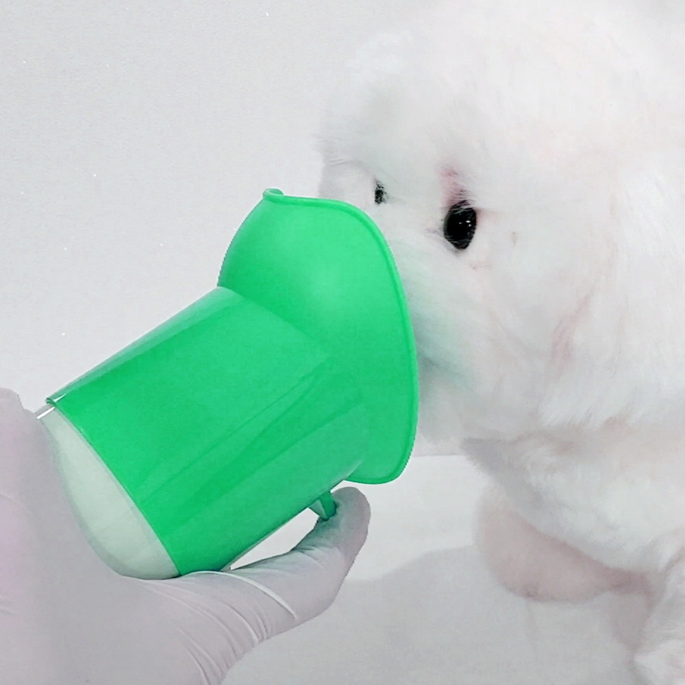 강아지 산소캔 산소방 고양이 휴대용 산소 스프레이 애견 반려견 호흡곤란 산소호흡기 산소통 - 상세 이미지 3