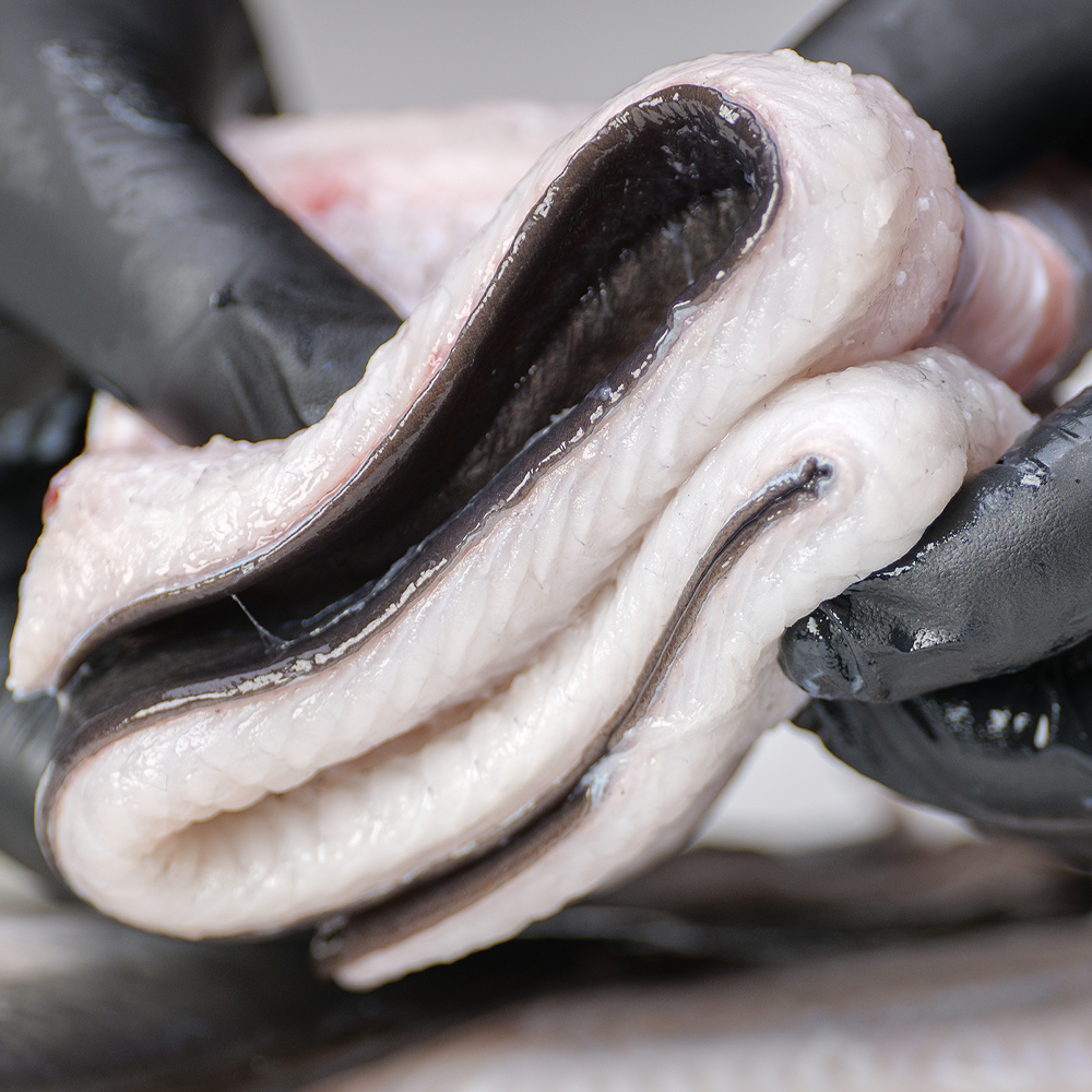 국산 자포니카 민물장어 장어 1kg 생물 손질 후 700g - 상세 이미지 3