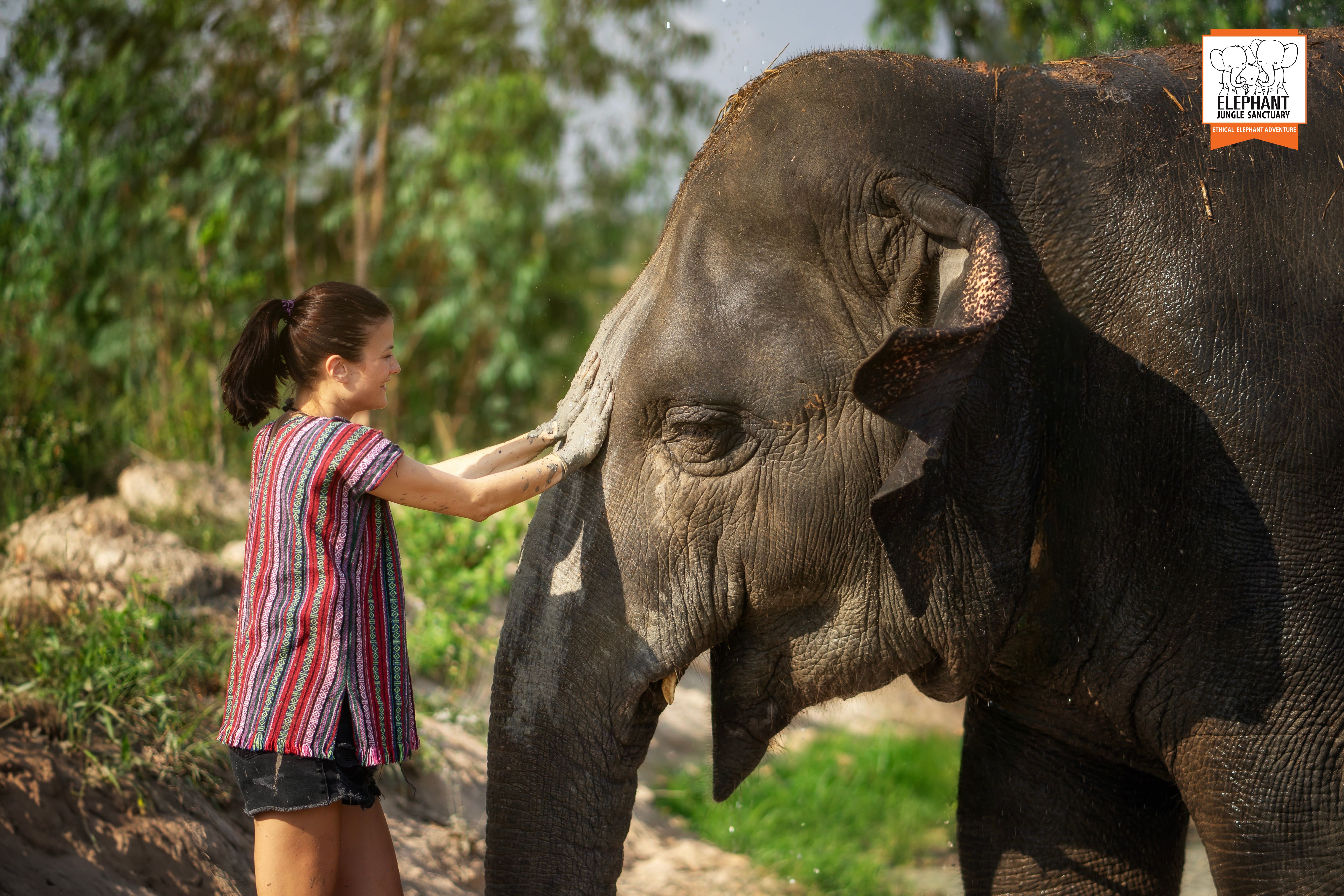 [기프티콘 이벤트] 파타야 코끼리 보호 캠프(Elephant Jungle Sanctuary) 방문 - 상품 이미지
