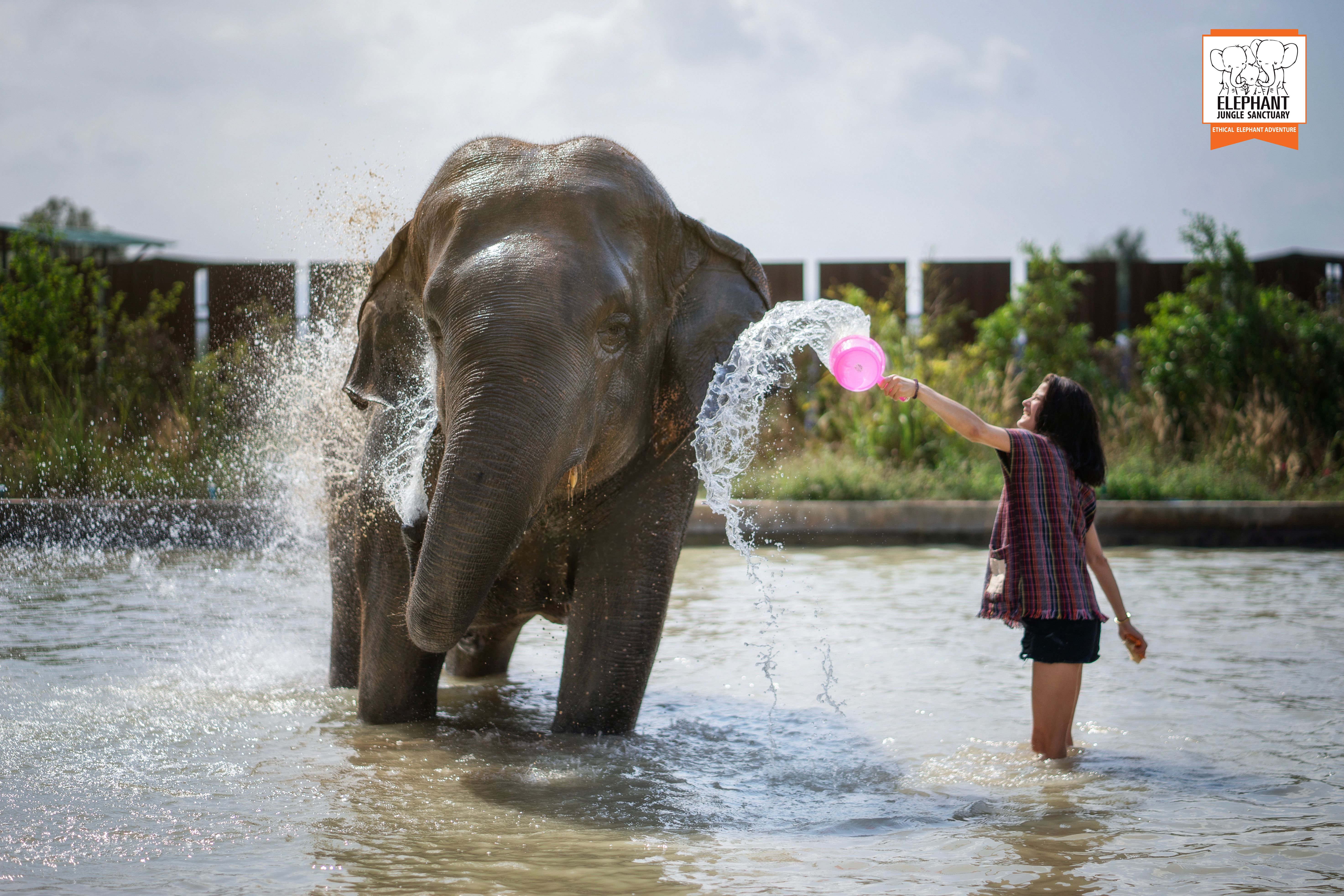 [기프티콘 이벤트] 파타야 코끼리 보호 캠프(Elephant Jungle Sanctuary) 방문 - 상세 이미지 5