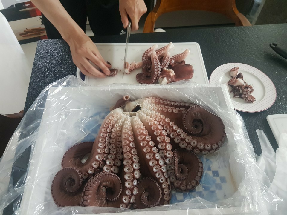 나나수산 죽변항 자연산 참문어 피문어 문어숙회 (1kg 내외) 이미지 8