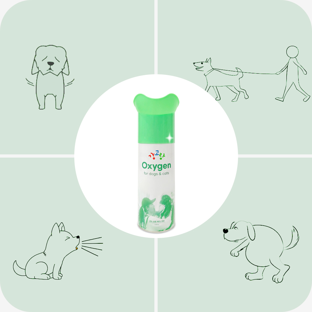 강아지 산소캔 산소방 고양이 휴대용 산소 스프레이 애견 반려견 호흡곤란 산소호흡기 산소통 이미지 7