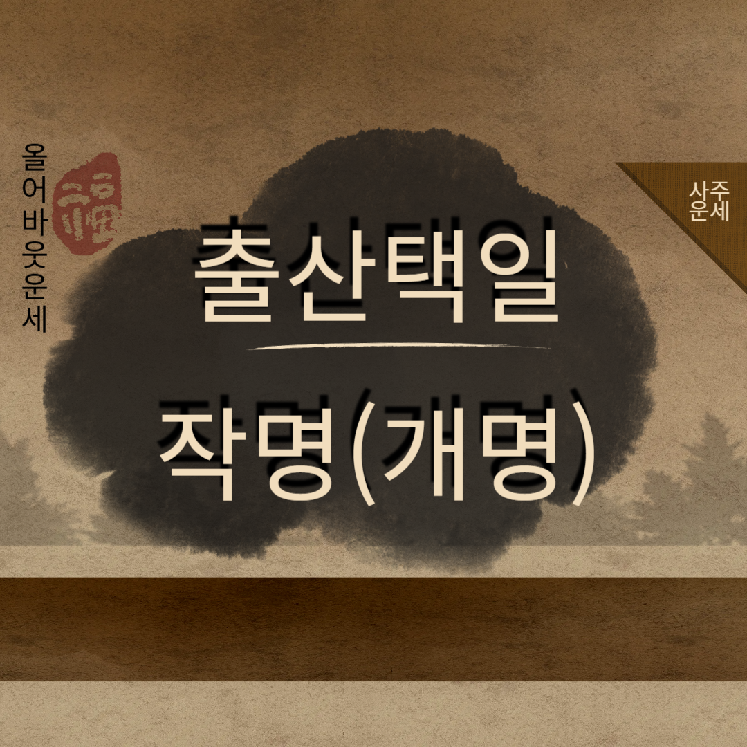 이름작명 출산택일 사주팔자 연애운 궁합 인터넷사주 운세 취업운 결혼운 합격운 사주문선생 - 상품 이미지