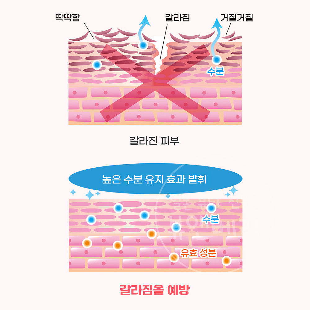 네이처콘크 약용 풋케어 로션 200ml - 상세 이미지 4