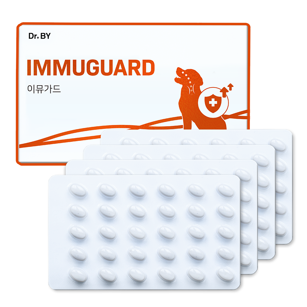 닥터바이 이뮤가드 강아지 기관지 영양제 호흡기 면역 케어 기침 콧물 120캡슐, 1개