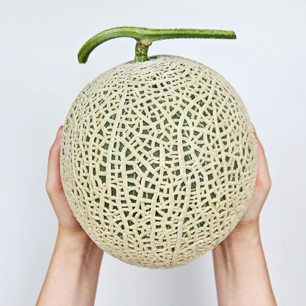 국내산 고당도 머스크 멜론 메론 2kg 3kg 4kg