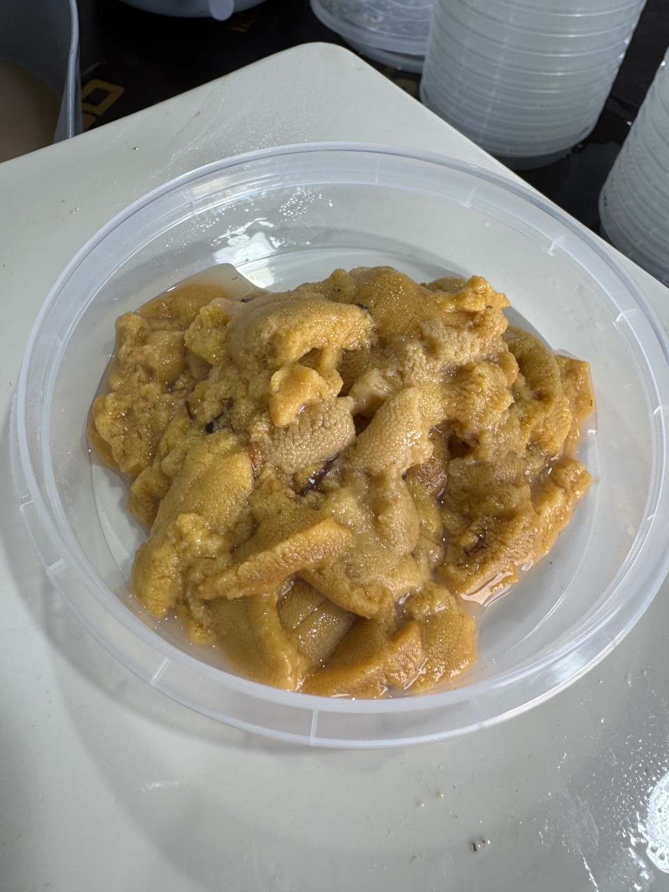 우니 홈마카세 1세트 /프리미엄 수산물/집에서 즐기는 바다맛 이미지 6