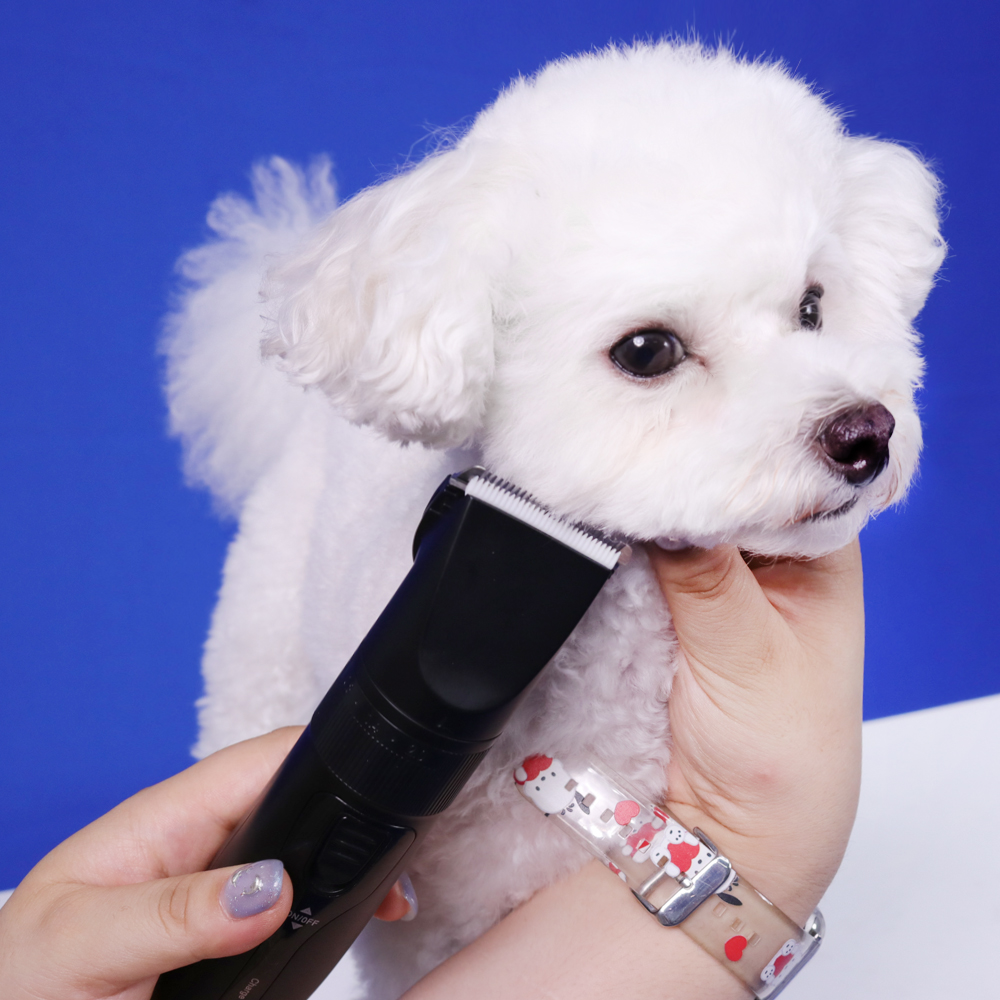 우다다 올인원 애견 바리깡 가위 풀세트 강아지 고양이 빗 클리퍼 - 상세 이미지 5