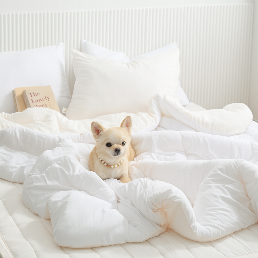 마이크로 모달 차렵 호텔이불 꿀잠 사계절 패드 베개커버 세트 이불솜세트 SS Q