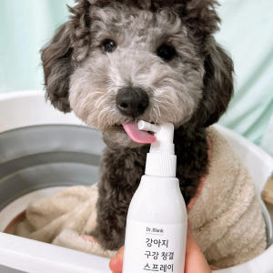 닥터블랭크 강아지 구강스프레이 입냄새제거 치석관리 솔직 후기 | 실제 사용자 리뷰 총정리 - 상품 이미지 3
