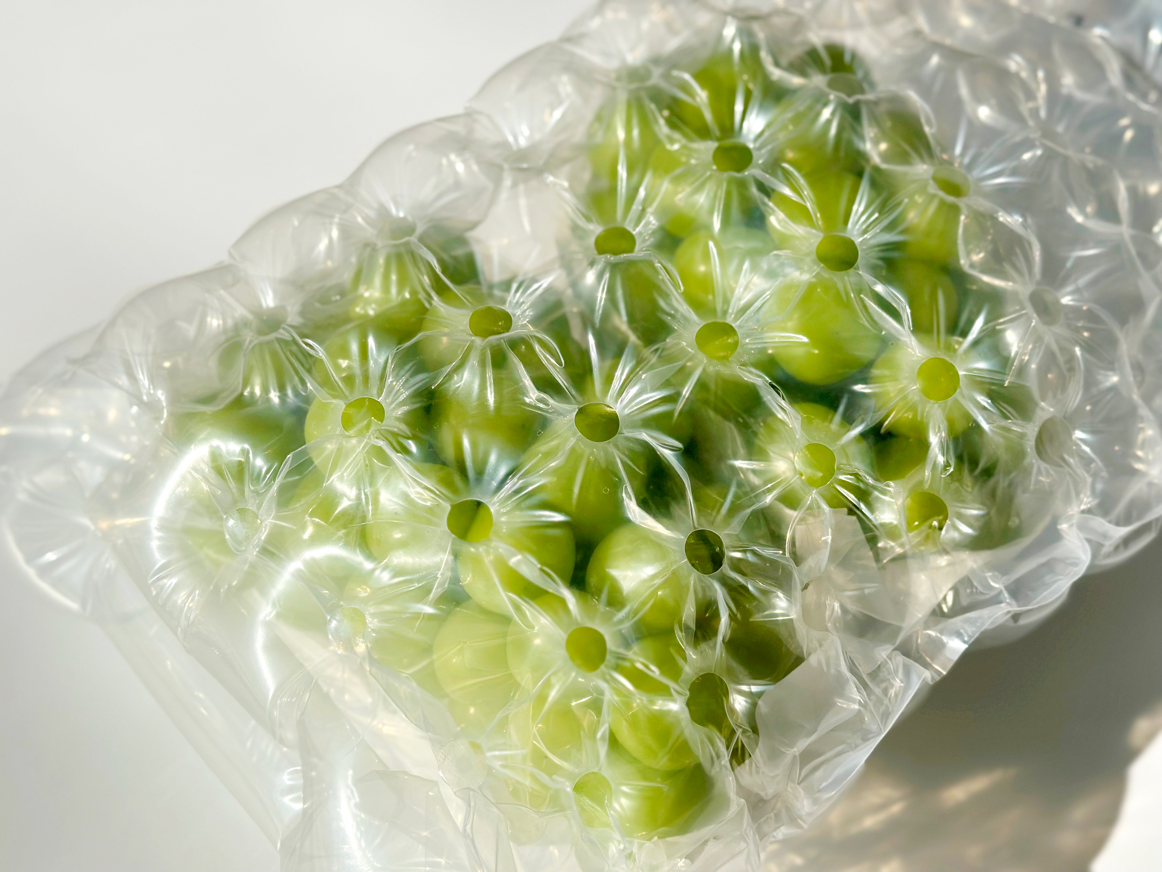 알큰 샤인머스켓 접대 선물 고당도포도 17Brix, 700g, 3개 이미지 8