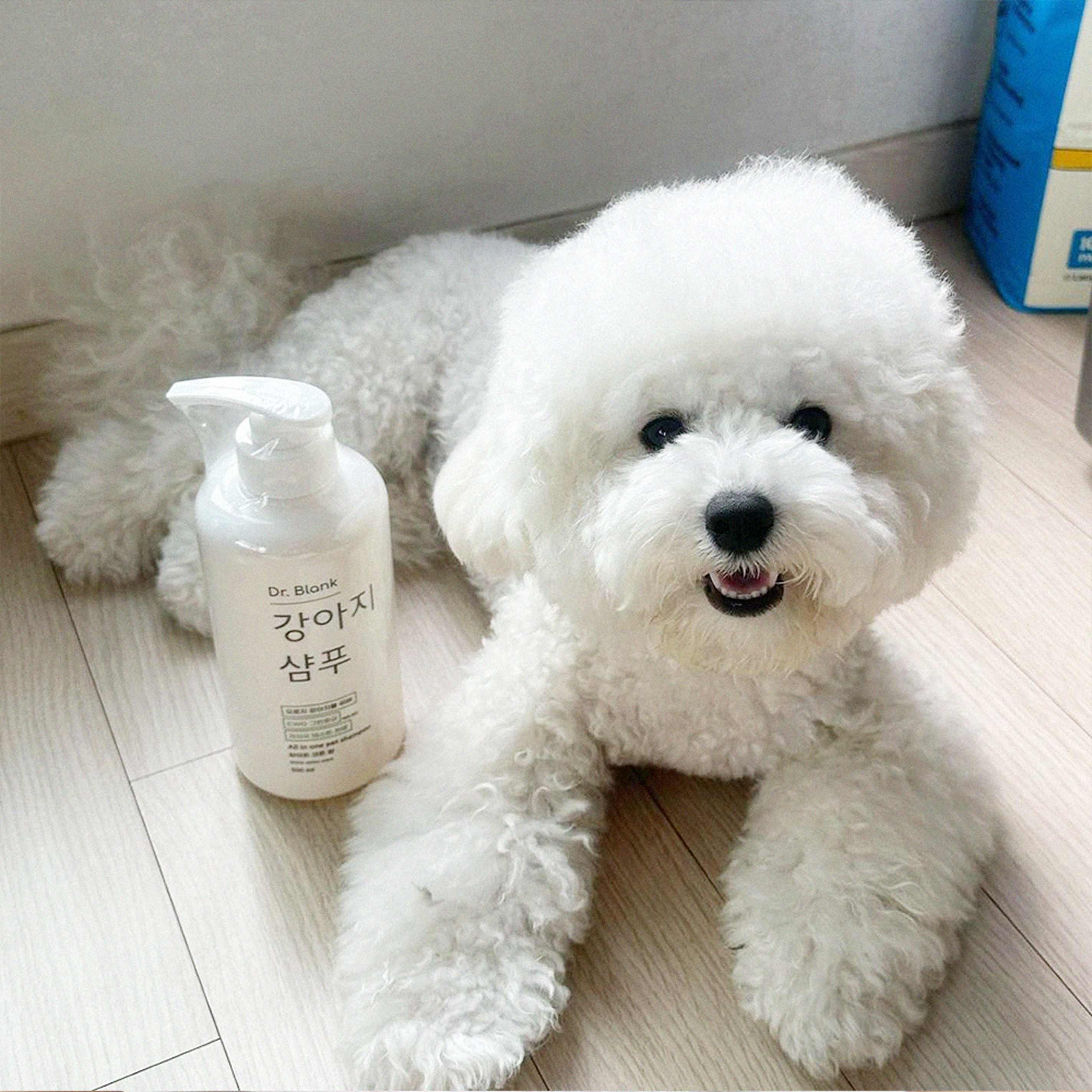 닥터블랭크 저자극 올인원 강아지 샴푸 베이비파우더향 새끼강아지 보습 목욕