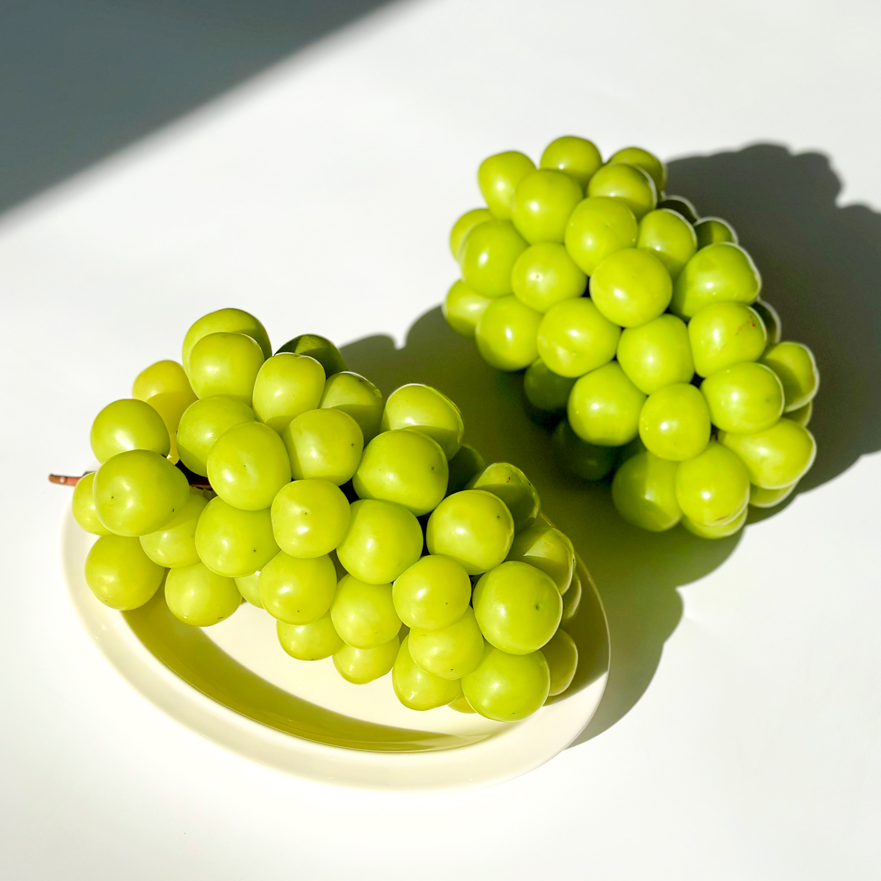 알큰 샤인머스켓 접대 선물 고당도포도 17Brix, 700g, 3개 - 상세 이미지 3