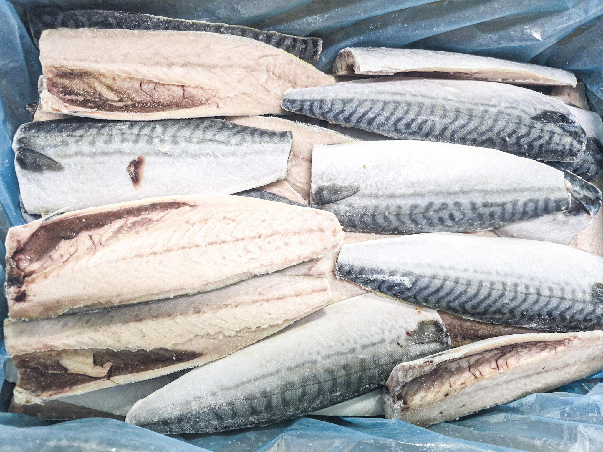 손질 노르웨이산 고등어 필렛 5kg 벌크 미다지 냉동 무염 김치찜 무조림 고갈비 구이