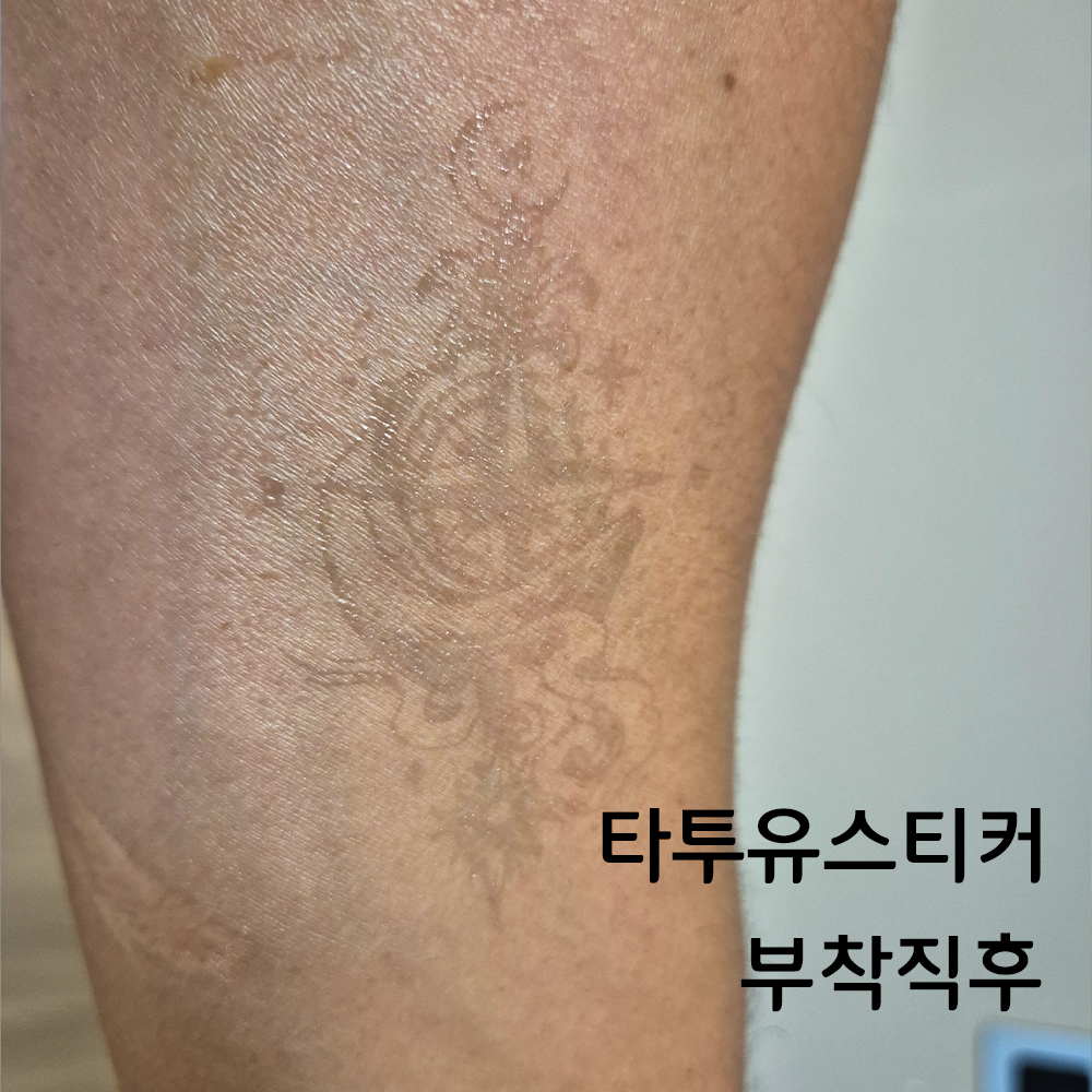 헤나타투스티커 2주유지 진짜같은 오래가는 셀프헤나 지워지는 반영구 문신 타투유 기본형 Q1 상품 이미지
