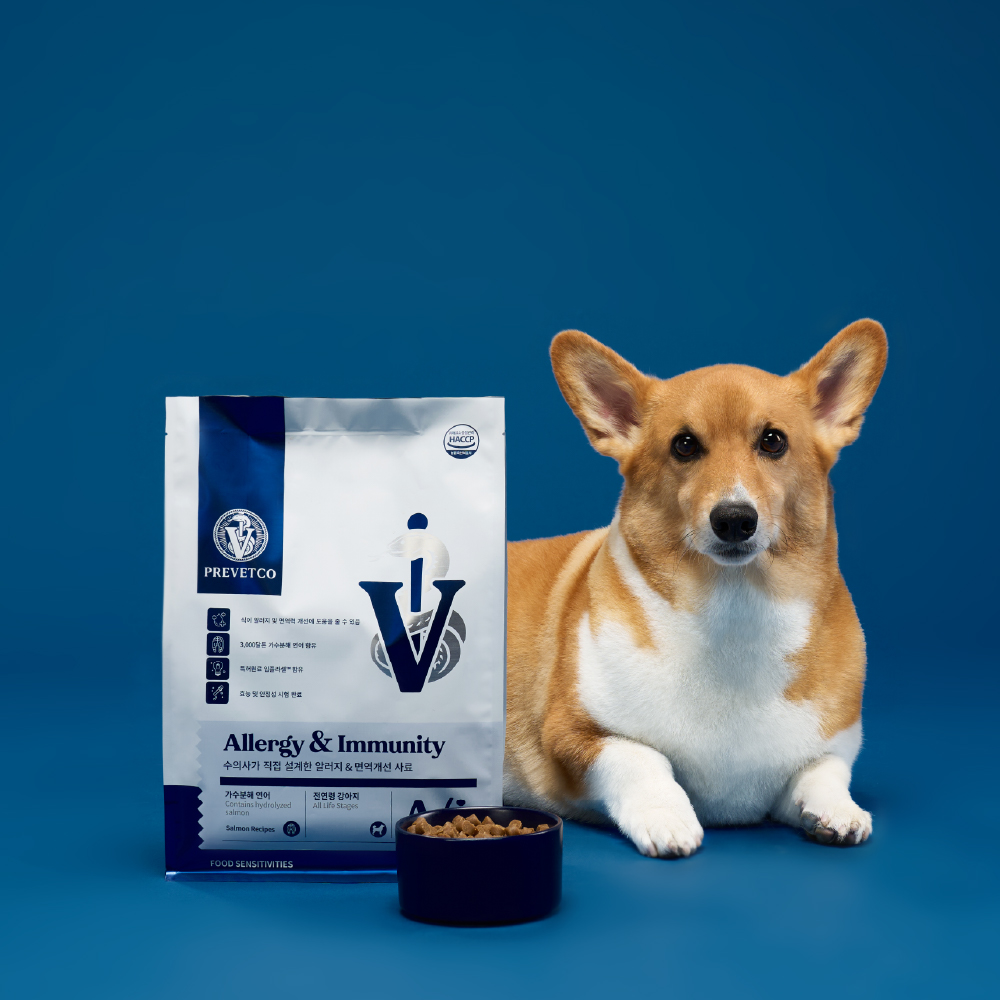 프리벳코 A/i 알러지 강아지 피부 눈물 동물병원 처방식 소프트 사료 가수분해 연어, 1.2kg, 1개