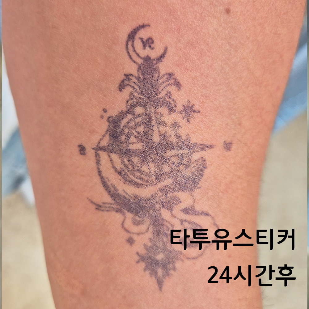 헤나타투스티커 2주유지 진짜같은 오래가는 셀프헤나 지워지는 반영구 문신 타투유 기본형 Q1 상품 이미지