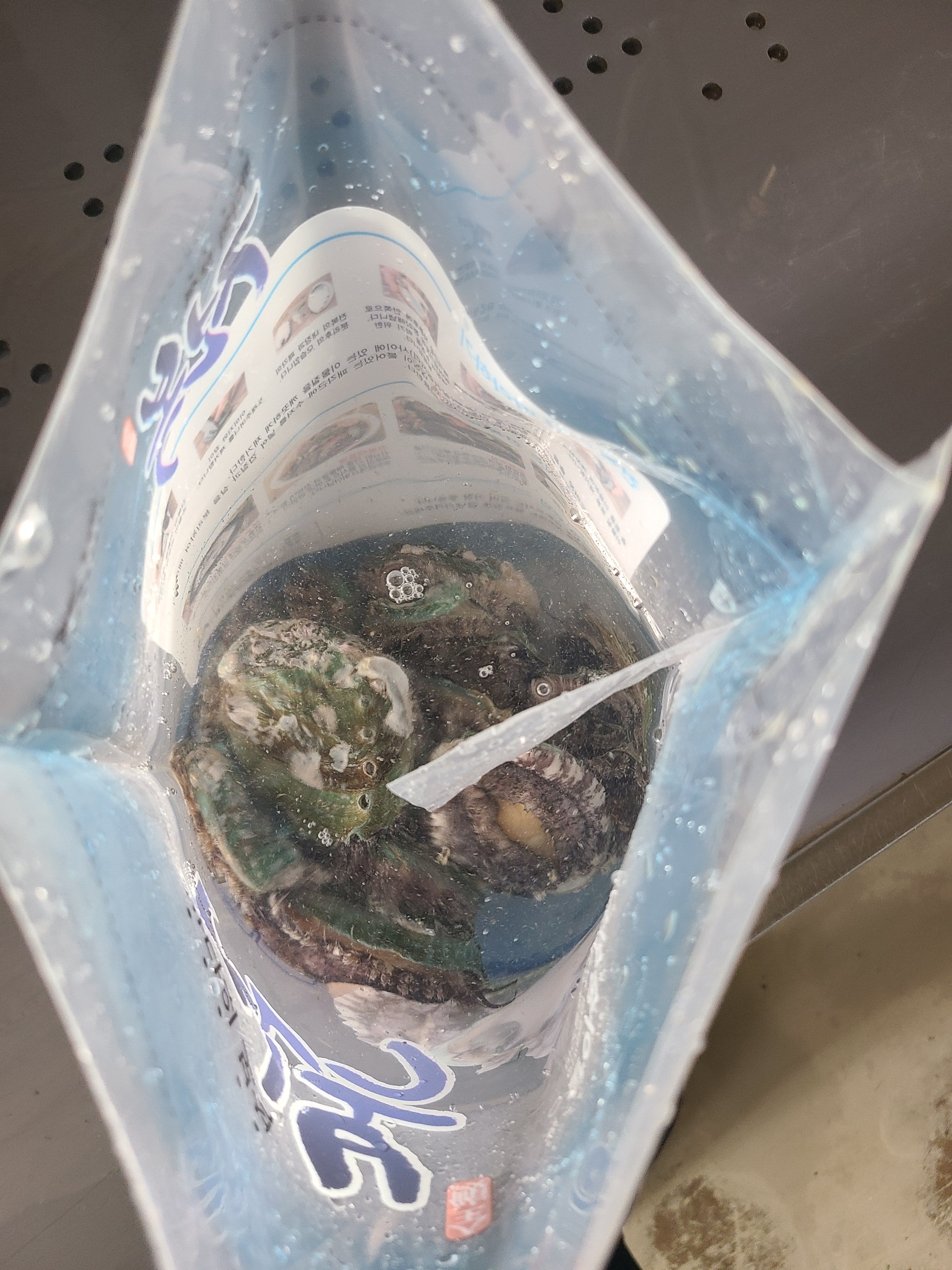완도 전복 특대 활 전복 선물세트 1kg - 상세 이미지 3
