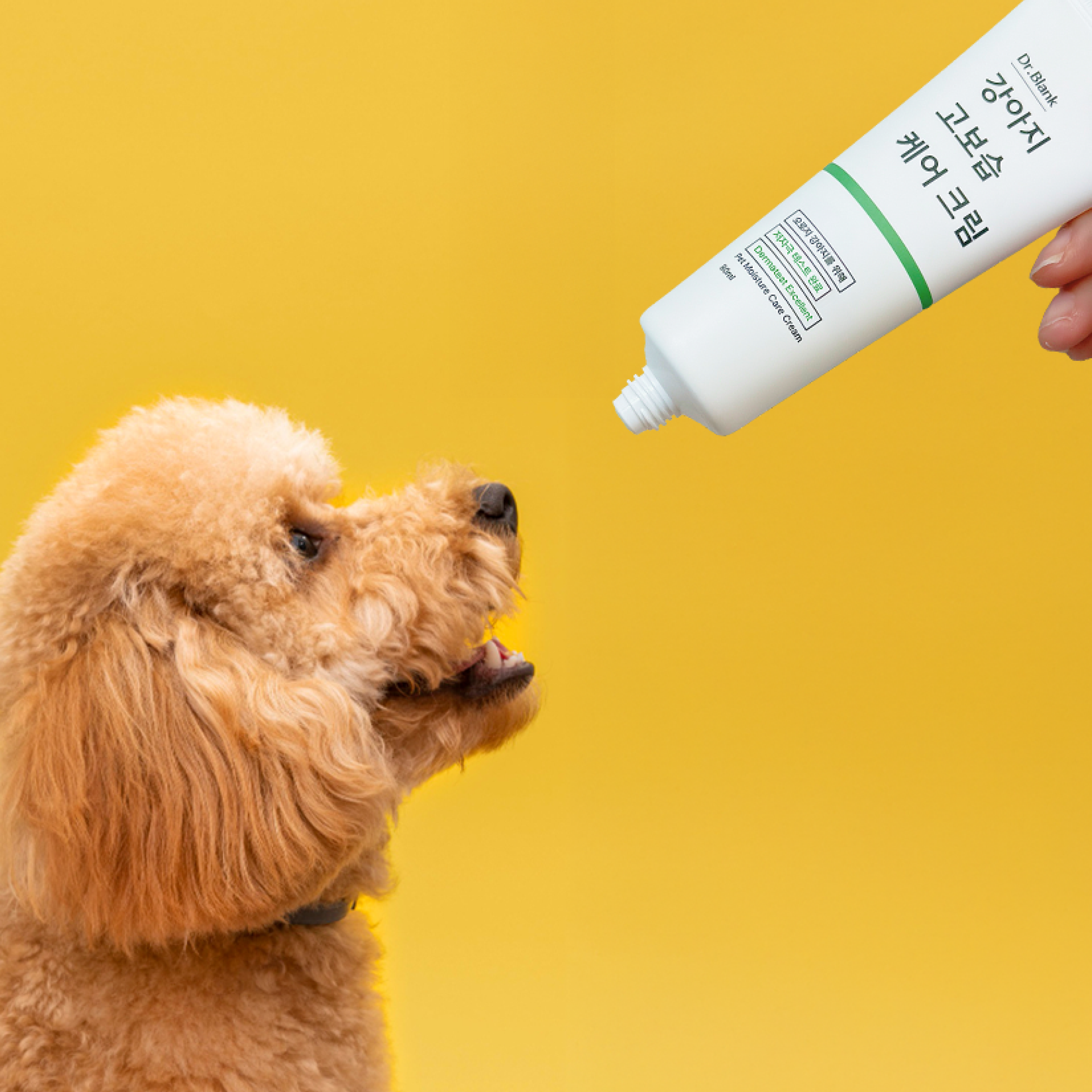 닥터블랭크 강아지 고보습 케어 크림 발바닥 코 연고 피부병 습진 로션 30ml, 1개 이미지 3