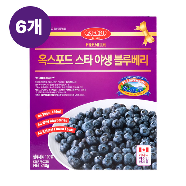 옥스포드 블루베리, 캐나다 야생 블루베리, 냉동 블루베리 추천, 블루베리 맛있게 먹는 법