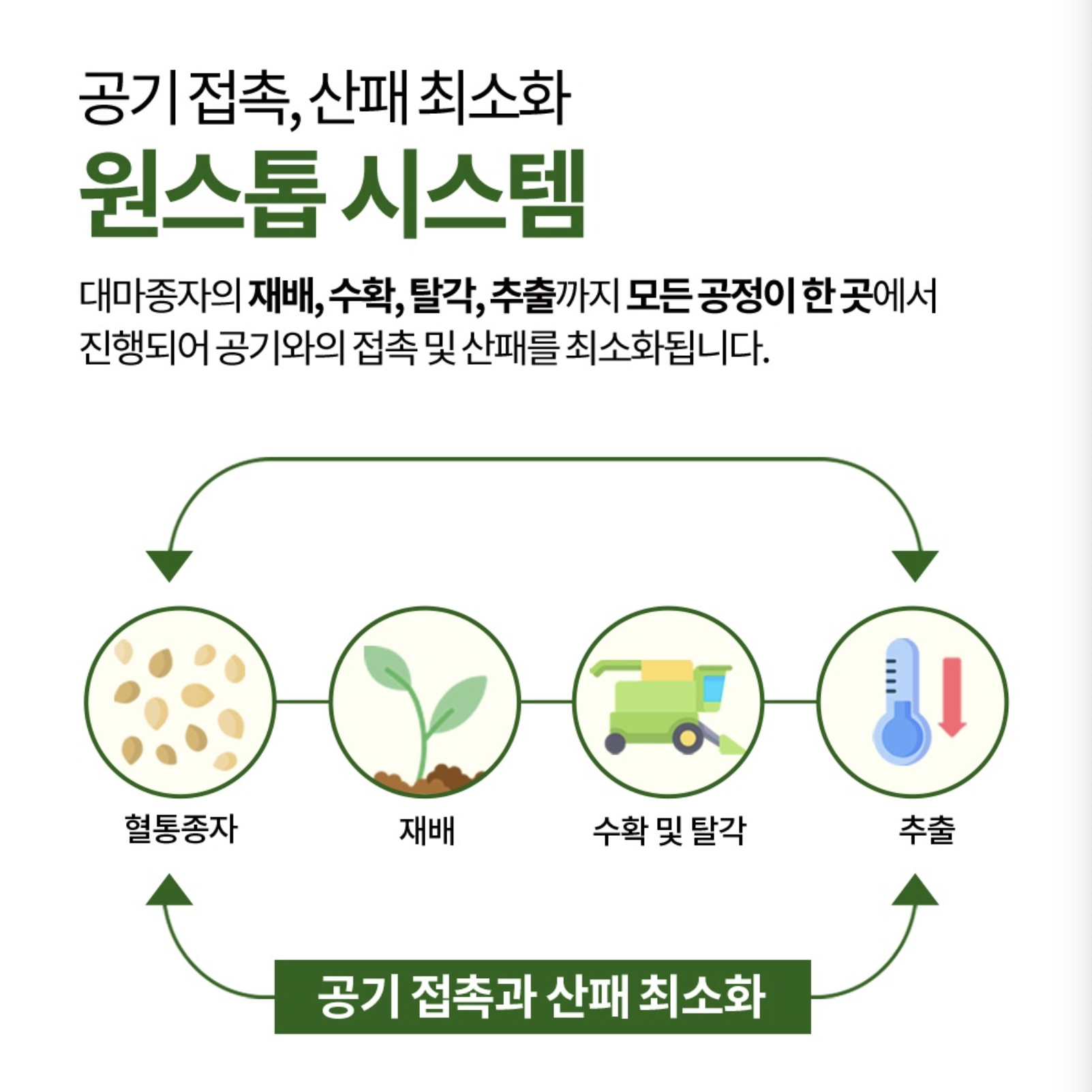 유기농 냉압착 대마종자유 햄프 대마씨종자유 30 캡슐 대마유종자 대마씨유 - 상세 이미지 2