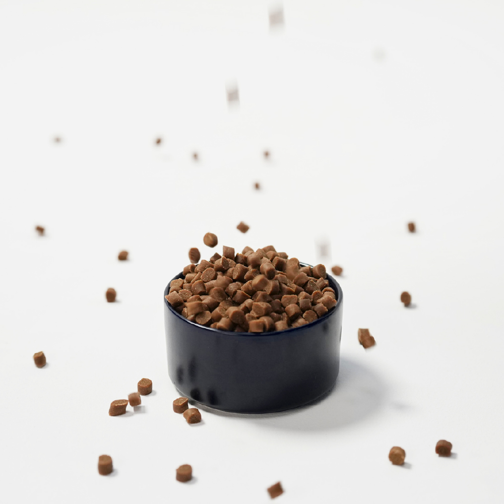 프리벳코 A/i 강아지 알러지 피부 눈물 소프트 처방사료 가수분해 연어, 1.2kg, 1개