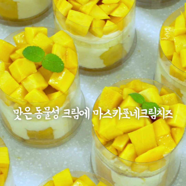 생 망고 시루 미니 수제 케이크 호텔 디저트 기념일 생과일 생일 케익