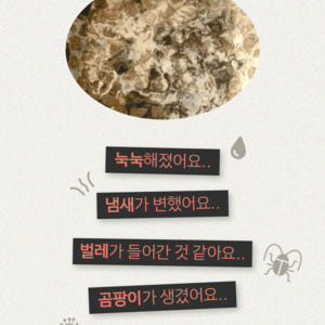 묘향가 진공 강아지 고양이 자동급식기 사료 스마트 앱연동 1구 솔직 후기 | 실제 사용자 리뷰 총정리 - 상품 이미지 4