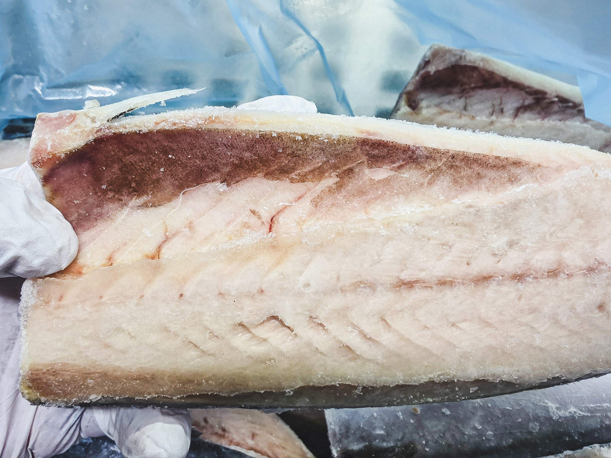 손질 노르웨이산 고등어 필렛 5kg 벌크 미다지 냉동 무염 김치찜 무조림 고갈비 구이 - 상세 이미지 4