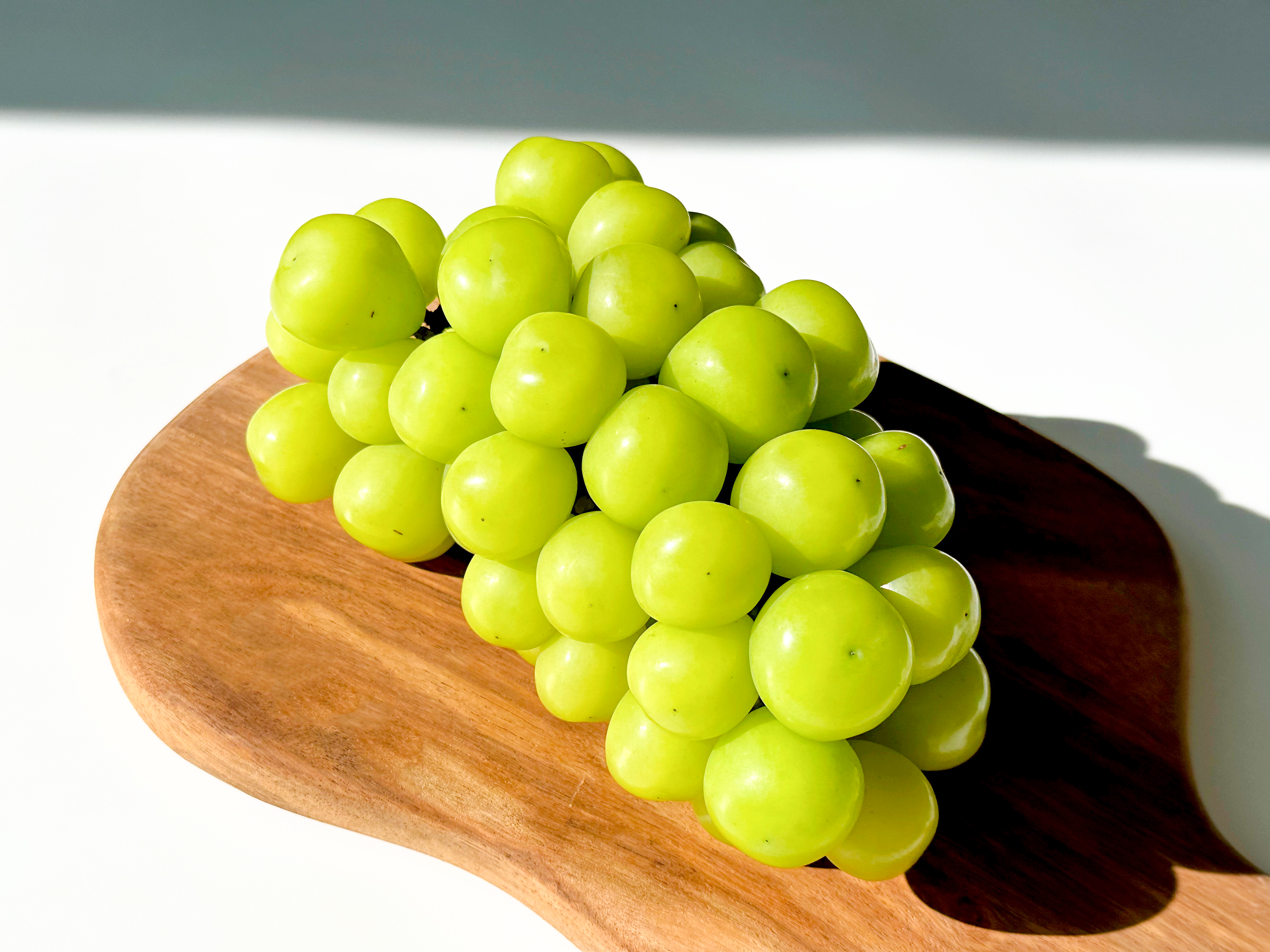 알큰 샤인머스켓 접대 선물 왕특 고당도포도 18Brix, 2kg, 1개 - 상세 이미지 3