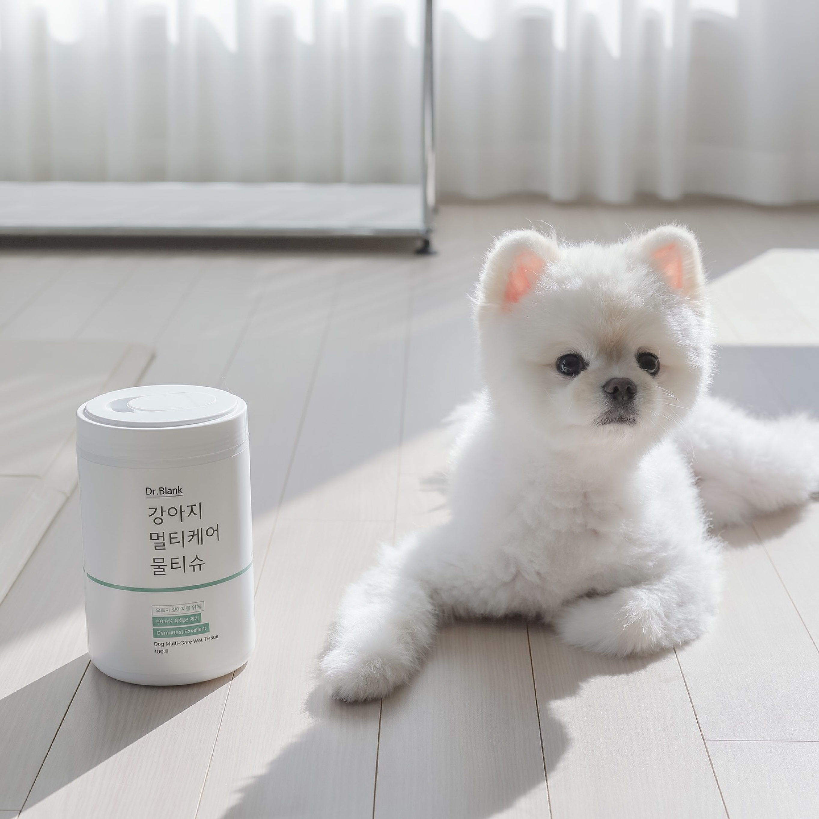 닥터블랭크 강아지 멀티케어 산책 물티슈 100매 - 상세 이미지 3