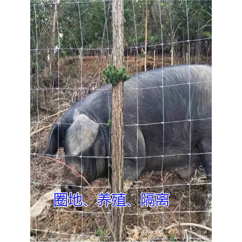 철망울타리 경계망 아연망 메쉬휀스 양계망 닭장 스틸 1.5x9m - 상세 이미지 4