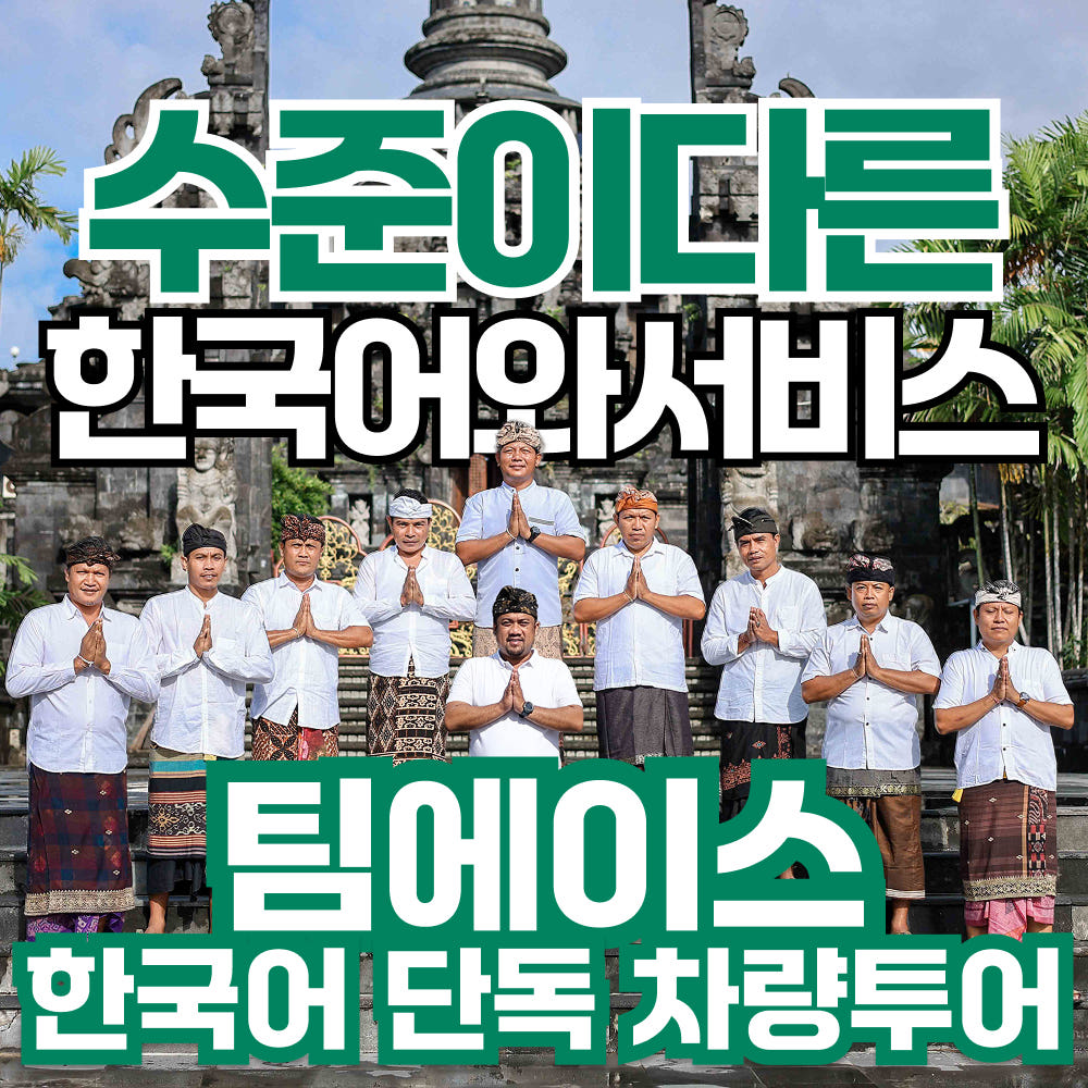 트리핑 팀에이스 발리 한국어 가이드 투어 우붓 택시 차량 킨타마니 지프투어 일출