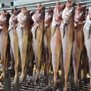 속초 코다리 찜 조림 깔끔코다리 강정 구이 냉동 손질 절단 특대 맛있게 먹은 솔직 후기 - 상품 이미지 2