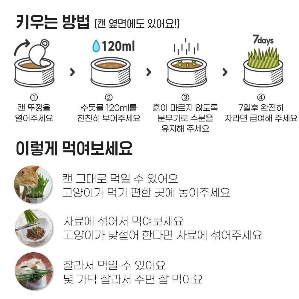 펫팀 고양이 캣그라스 재배키트 고양이풀 새싹보리 이미지 2