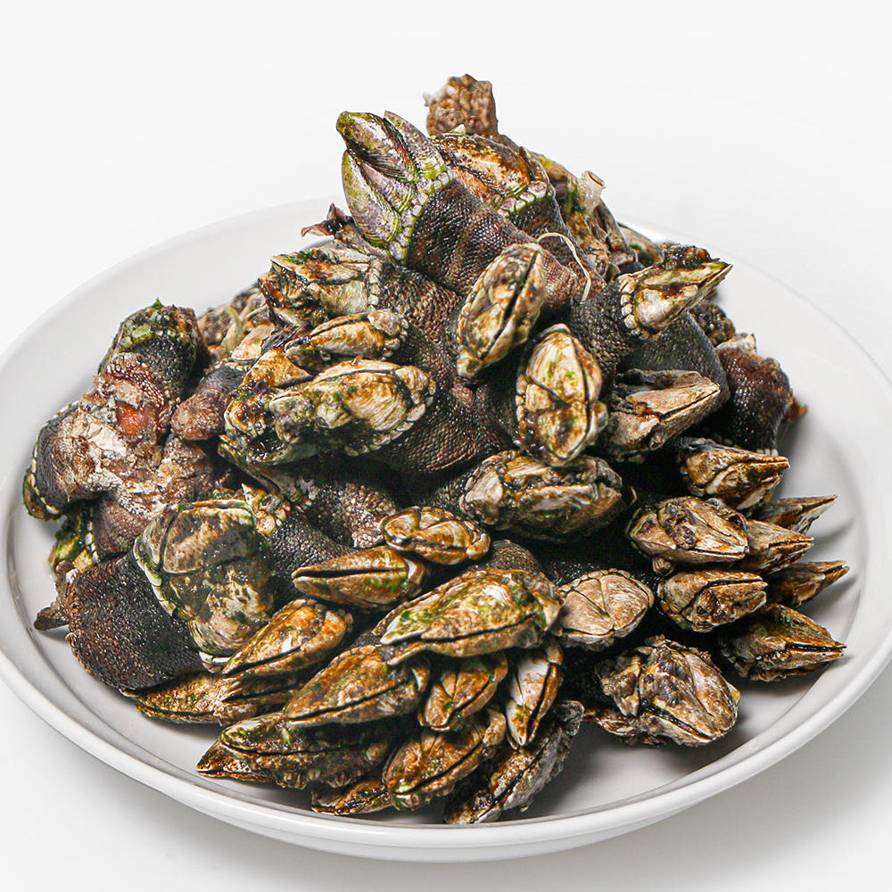 자연산 거북손 500g, 1kg - 상세 이미지 4
