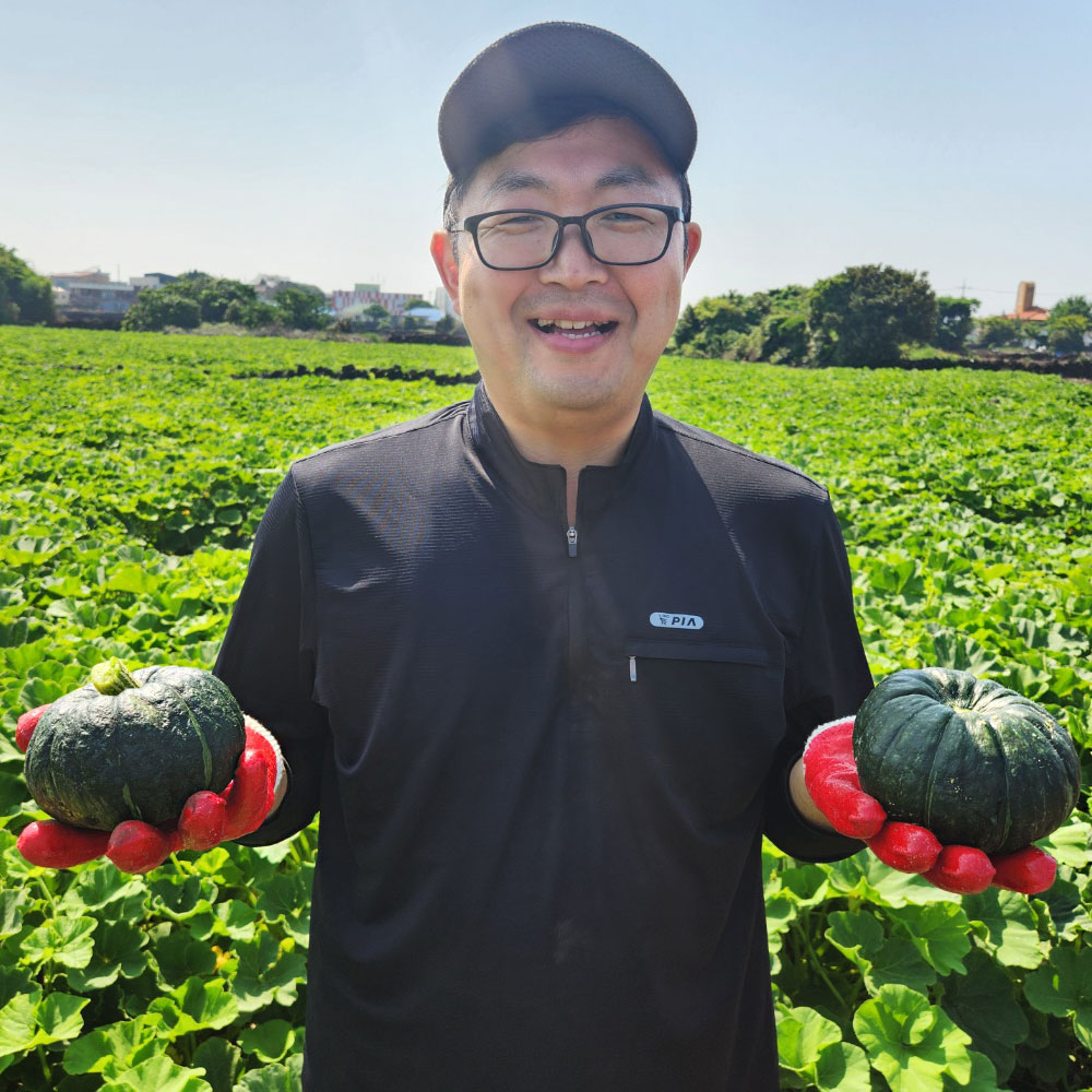 제주 밤호박 미니 단호박 보우짱 제철 2kg 3kg 5kg - 상품 이미지