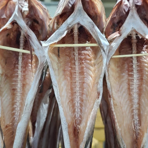 속초 코다리 찜 조림 깔끔코다리 강정 구이 냉동 손질 절단 특대 맛있게 먹은 솔직 후기 - 상품 이미지 3