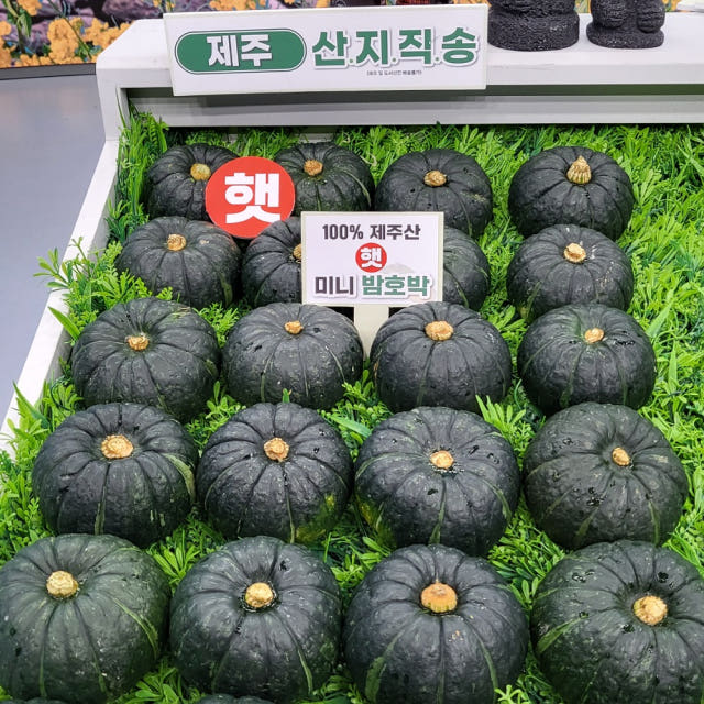 제주도 미니 밤호박 단호박 보우짱 5kg 3kg 10kg 미니단호박 서귀포 농장직송 — 실제 사용 시나리오는 어떤가요?