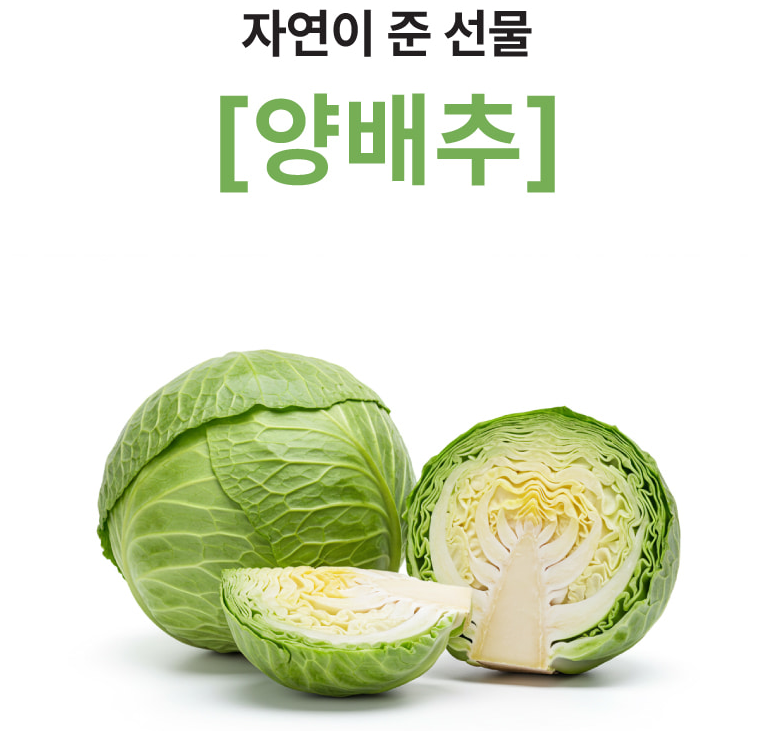 양배추수용성비타민 비타민u 양배추정 알약 90정 - 상세 이미지 3