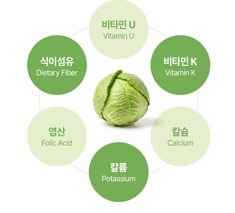 양배추수용성비타민 비타민u 양배추정 알약 90정 - 상세 이미지 4