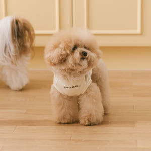 [강아지의날]강아지옷 애견 실내복 티셔츠 아임베어 솔직 후기 | 실제 사용자 리뷰 총정리 - 상품 이미지 3