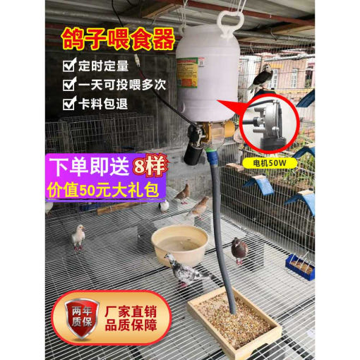 thumbnail-1