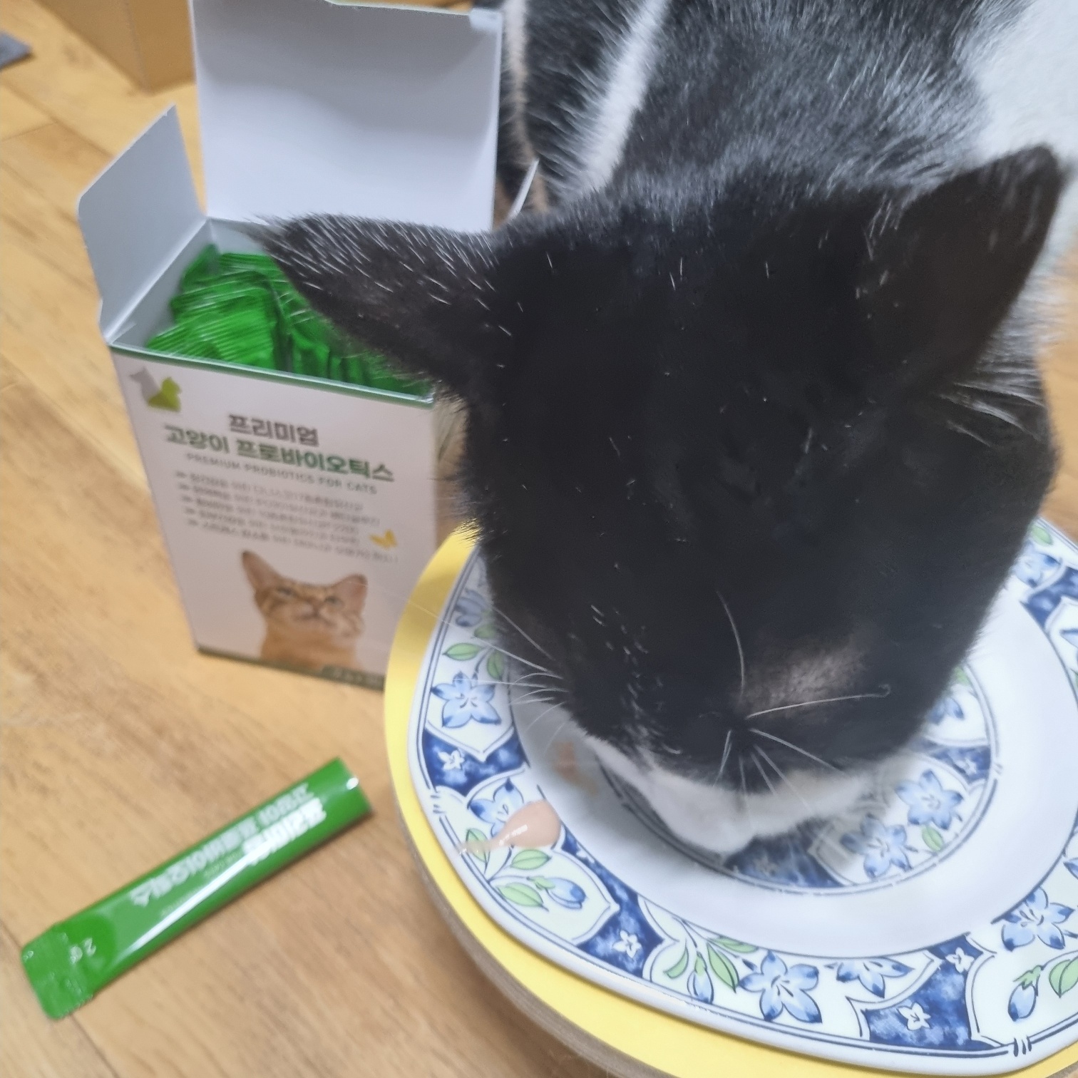 응가아저씨 고양이 프로바이오틱스 30포+30포 3000억 설사변비 항비만 면역력 유산균