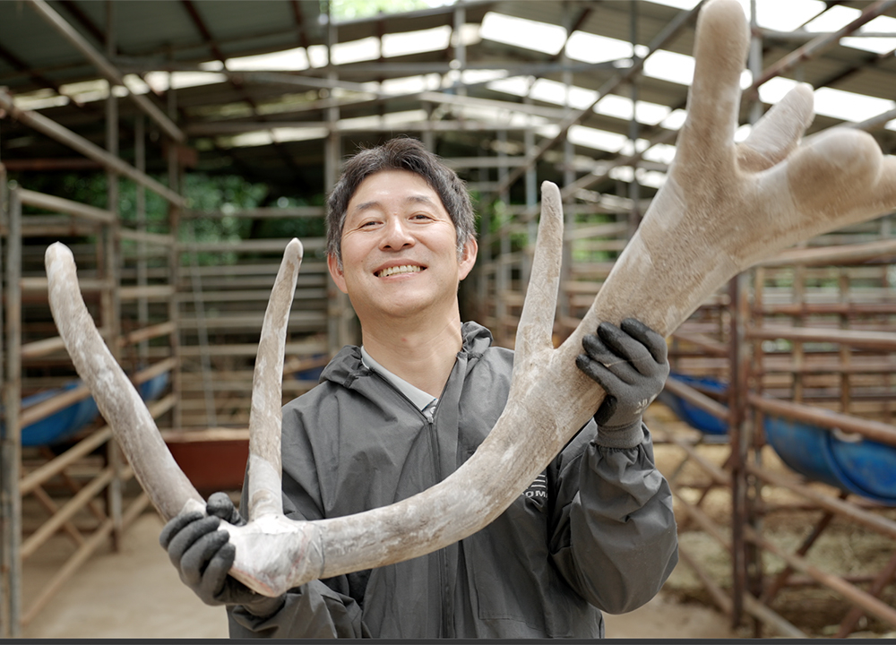 해담녹용 러시아계 엘크사슴 녹용 진액 건강즙 2.4kg 1달분