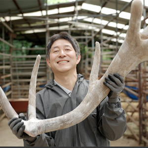 러시아 엘크사슴 생녹용 진액 즙 어린이녹용 분골 상대 4.8kg 2달분 맛있게 먹은 솔직 후기 - 상품 이미지 1