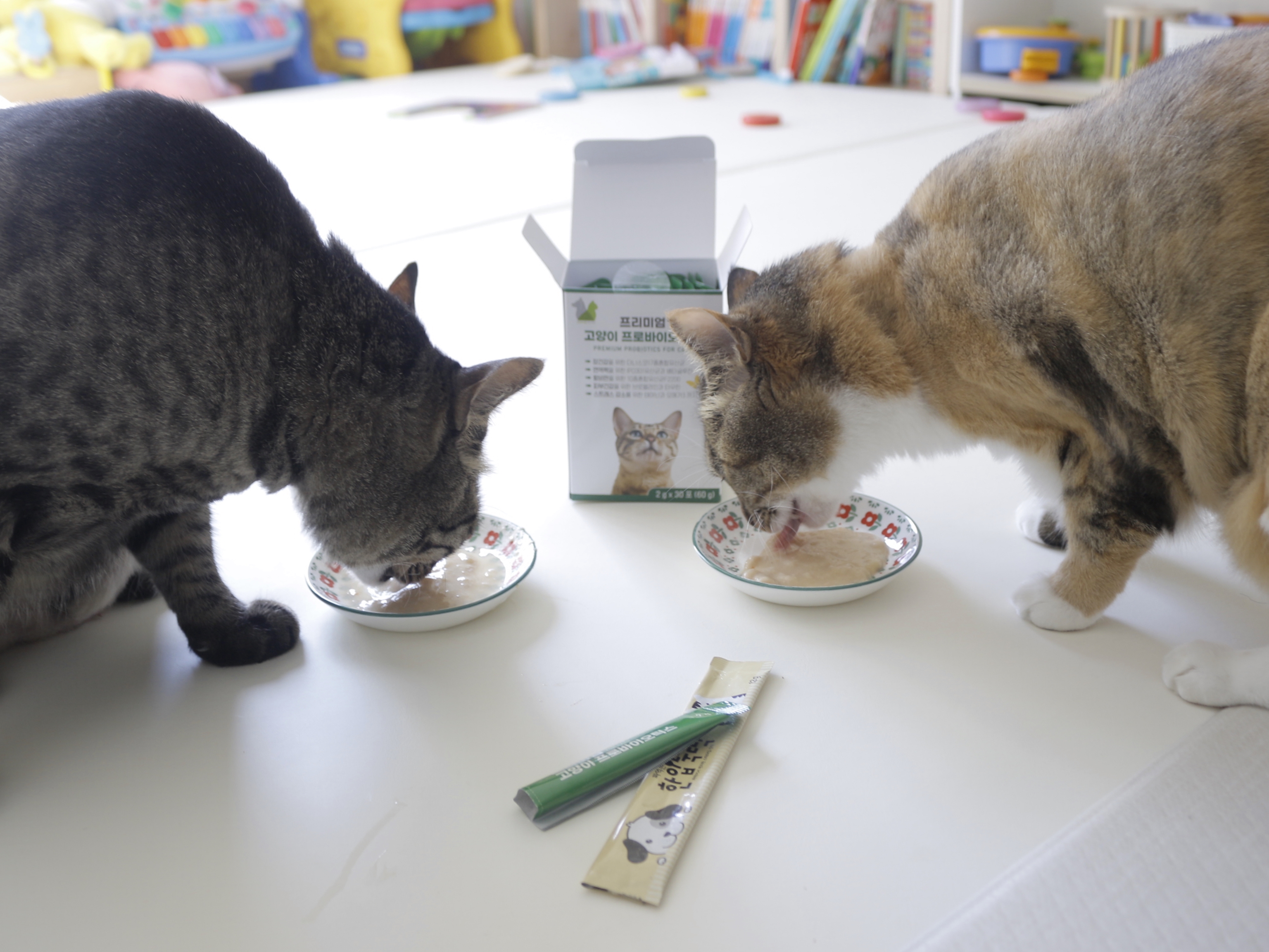 응가아저씨 고양이 프로바이오틱스 30포+30포 3000억 설사변비 항비만 면역력 유산균