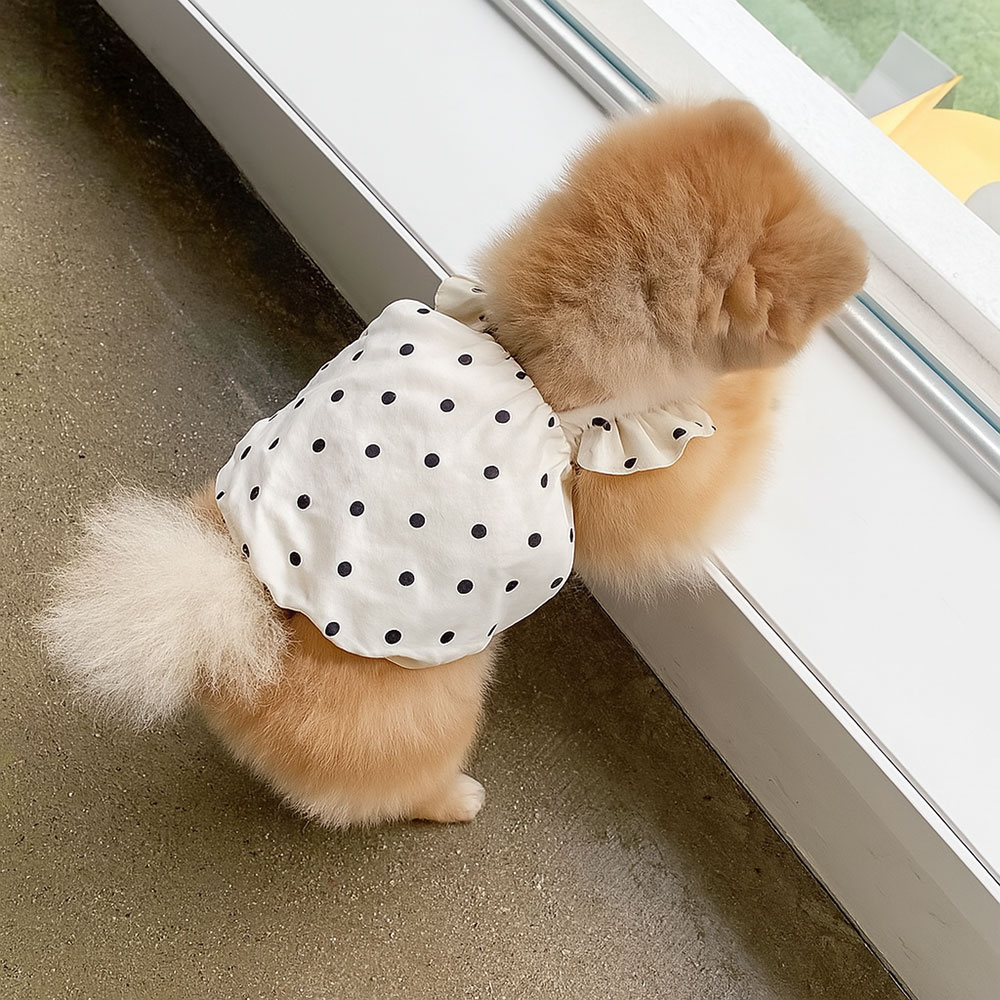 1018/ 도트 패턴 강아지 반려동물 애견 펫 댕댕이 여름 프릴 원피스 - 상세 이미지 3