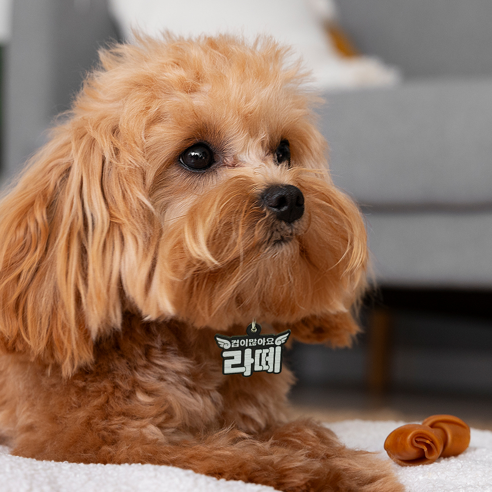 페르니 주문제작 강아지 인식표 반려동물 목줄 하네스 이름표 네임택 고양이 - 상세 이미지 4